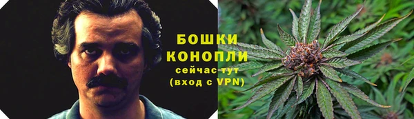ALPHA PVP Белокуриха
