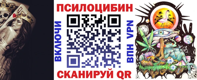 Псилоцибиновые грибы Psilocybine cubensis  Дубовка 